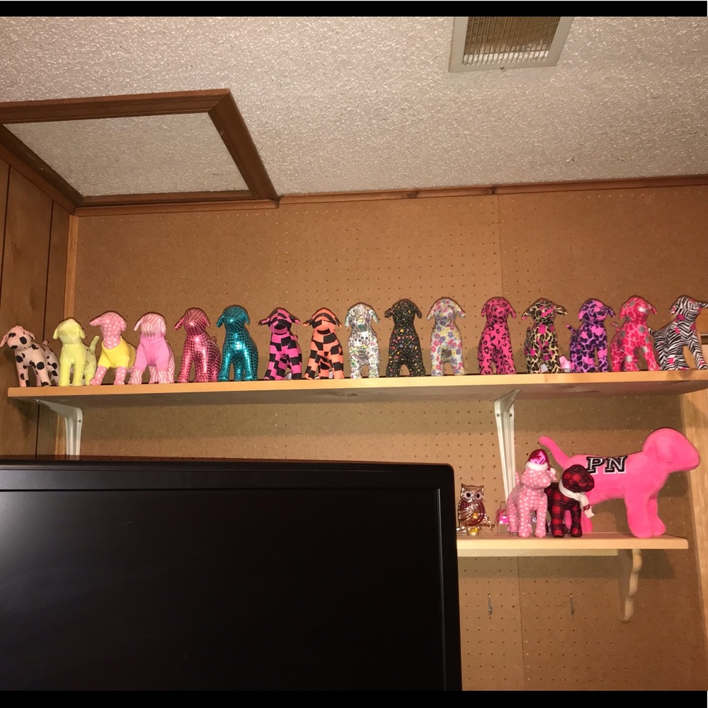 19 Victoria’s Secret PINK dogs